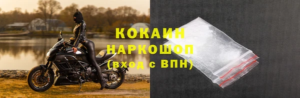 СК Зеленокумск