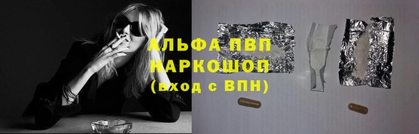 СК Зеленокумск