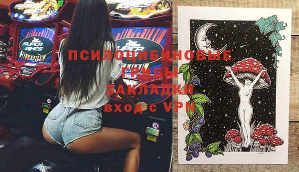 СК Зеленокумск