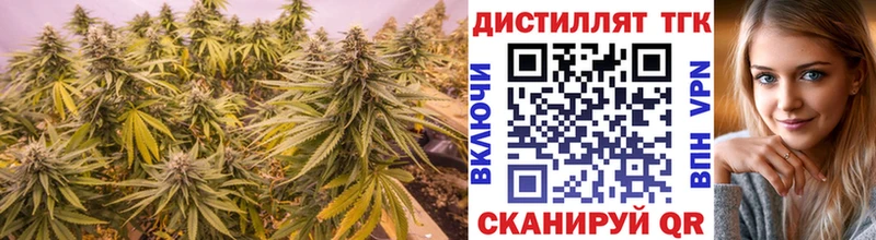ТГК Wax  Кологрив 