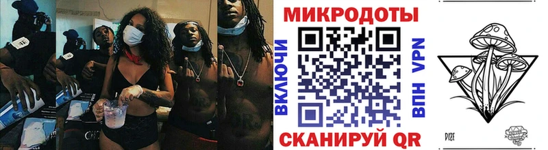 Псилоцибиновые грибы Psilocybe  Кологрив 