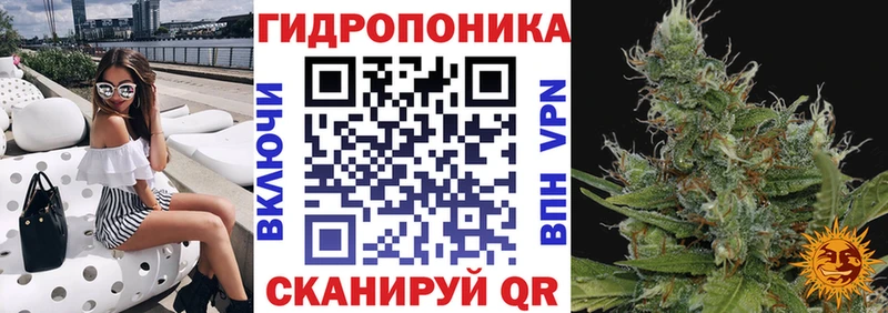 Конопля семена Кологрив